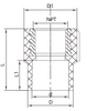 Brass Threaded Female Adaptor