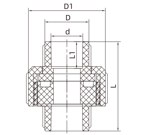 CPVC NBR Fittings Union