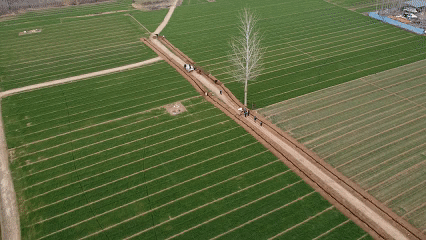 Super Project: Transforming "Grain Fields" into "Good Fields", ERA contributes to the high-quality development of agriculture in Weixian County.
