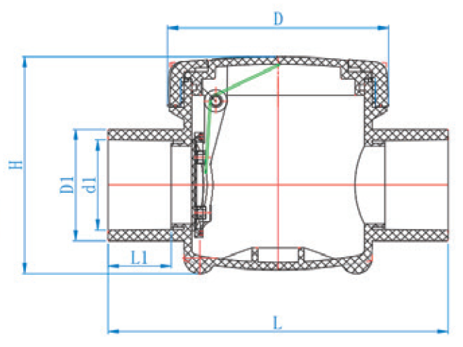 AUS022 SWING CHECK VALVE