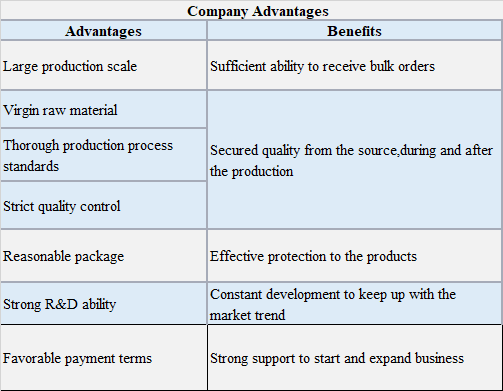 company advantages