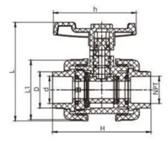 Ⅱ TRUE UNION BALL VALVE (2)