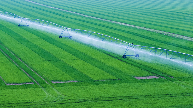 irrigation (1).png