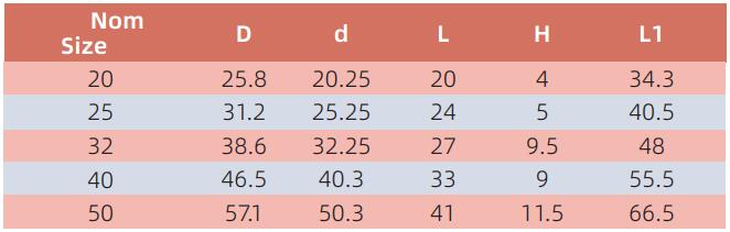 AED008 CONDUIT ADAPTOR WITH LOCKRING-PLAIN TO THREADED
