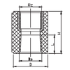 Female adaptor with brass TPF013